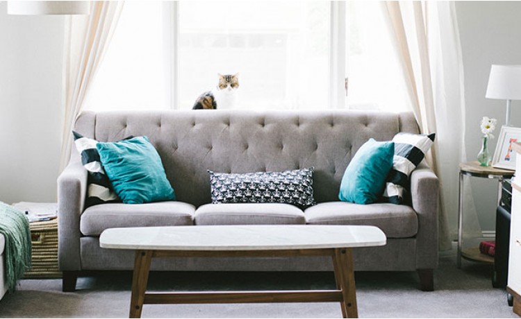 Oturma Odası Seçerken Nelere Dikkat Etmeliyiz?